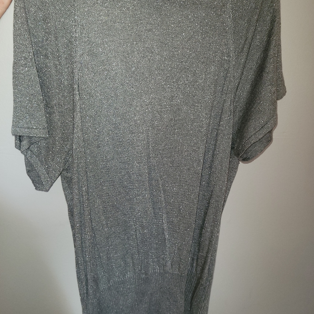 Sparkly silver top